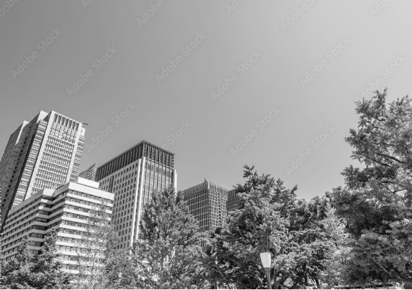 組織体制のイメージ画像