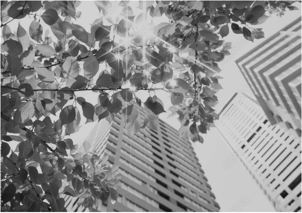 企業理念のイメージ画像