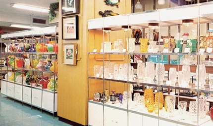 TS-460クリンガーシステムの画像