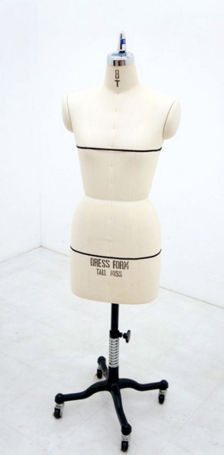 アミコボディ（1968年）の画像