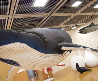 大型造形物 実物大くじら（2010年）の画像