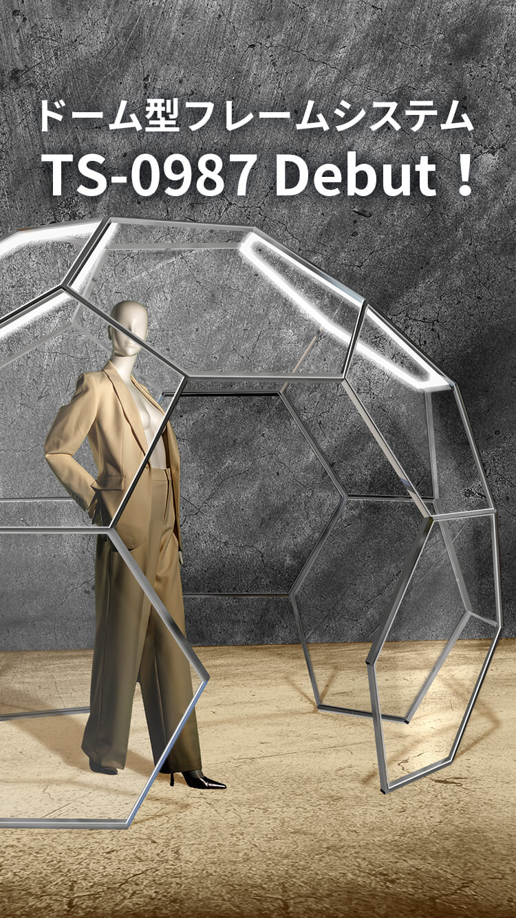ドーム型フレームシステムTS-0987の画像