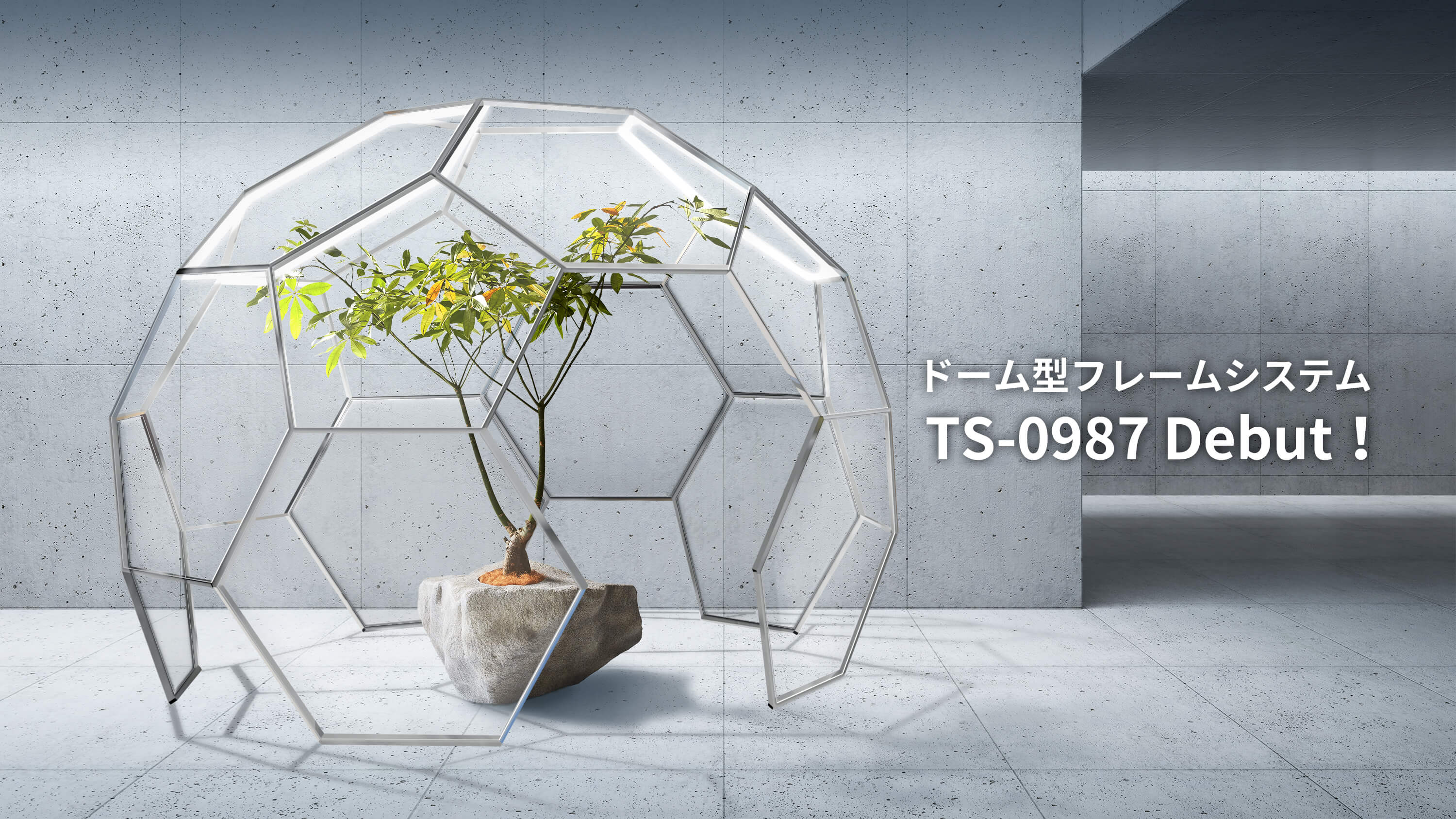 ドーム型フレームシステムTS-0987の画像