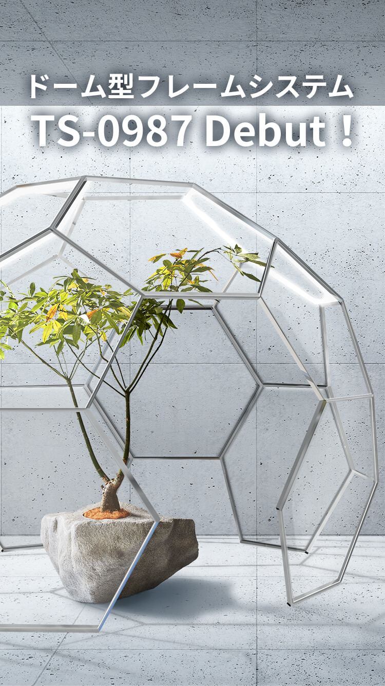 ドーム型フレームシステムTS-0987の画像